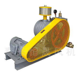 HC-1001S水處理曝氣風機-回轉(zhuǎn)式風機